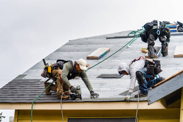 Professional Gutter Installation technician working in Pinola, MS